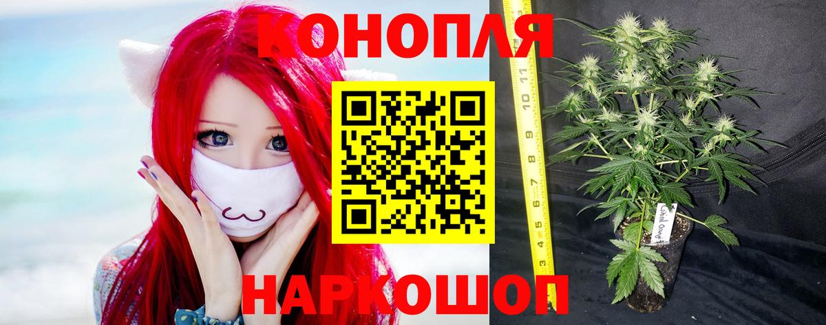 Шишки марихуана SATIVA & INDICA  Вход с VPN  Лянтор  Бошки марихуана OG Kush  Шишки марихуана тримм 